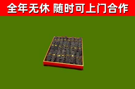 屏东县回收海参